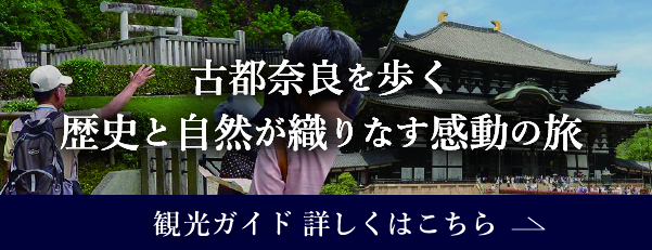 古都奈良を歩く 歴史と自然が織りなす感動の旅